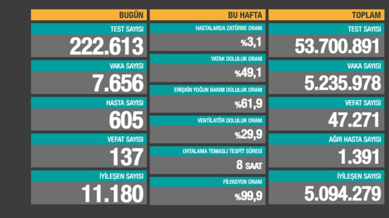 29 Mayıs Türkiye'nin koronavirüs tablosu