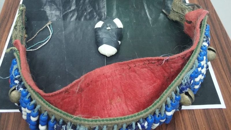 Kars'ta köpek tasmasına gizlenmiş uyuşturucu yakalandı