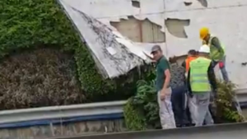 İBB, Zeytinburnu'ndaki yeşillik alanları söküyor