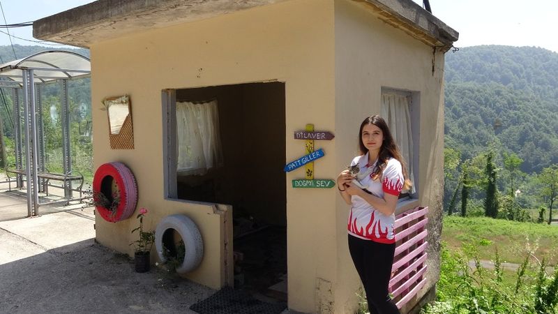 Zonguldak'ta üniversite öğrencisi sokak hayvanları için kulübe yaptı