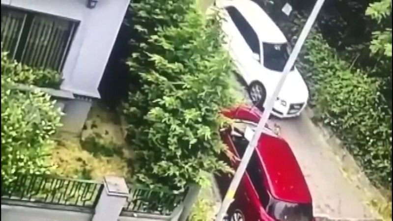 Sarıyer’de otomobili ile yavru köpeği ezip kaçtı