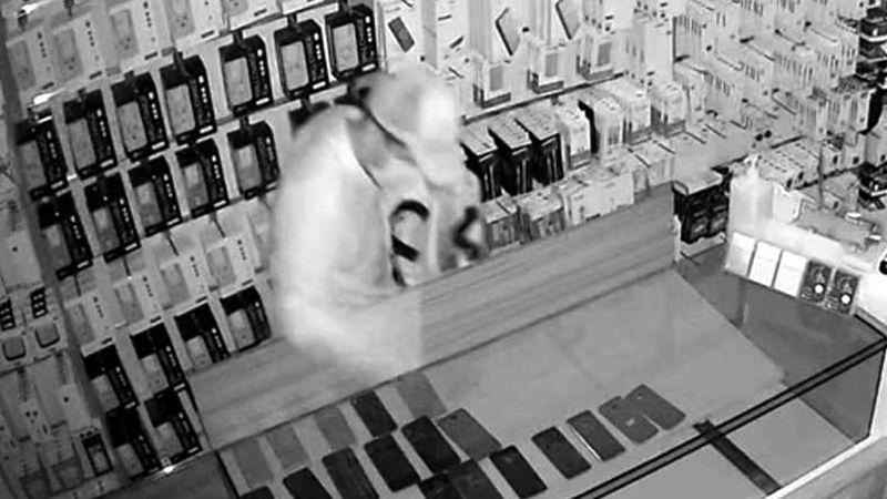 Tekirdağ'da iş yerinden 45 cep telefonu çalan hırsız