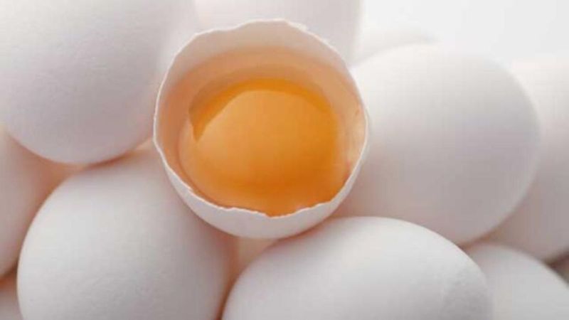 Hangisi daha faydalı: Yumurtanın beyazı mı yoksa sarısı mı?