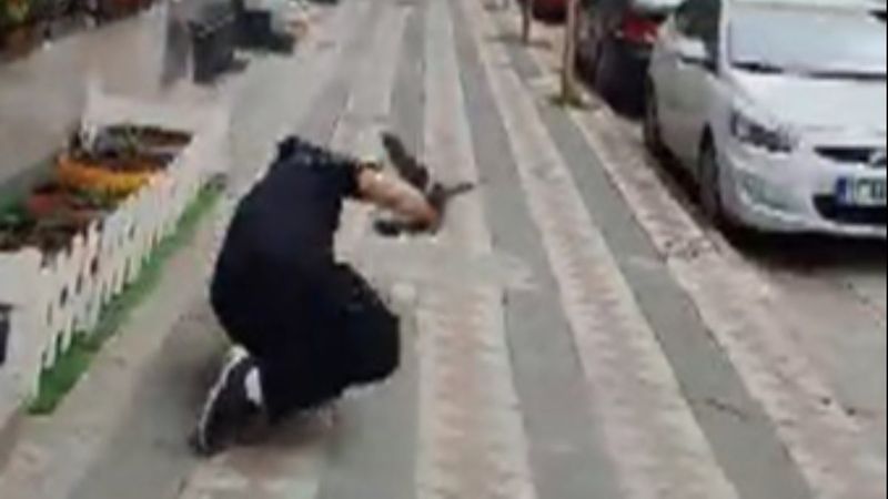 Sultangazi’de kargalar 14 yaşındaki çocuğa saldırdı