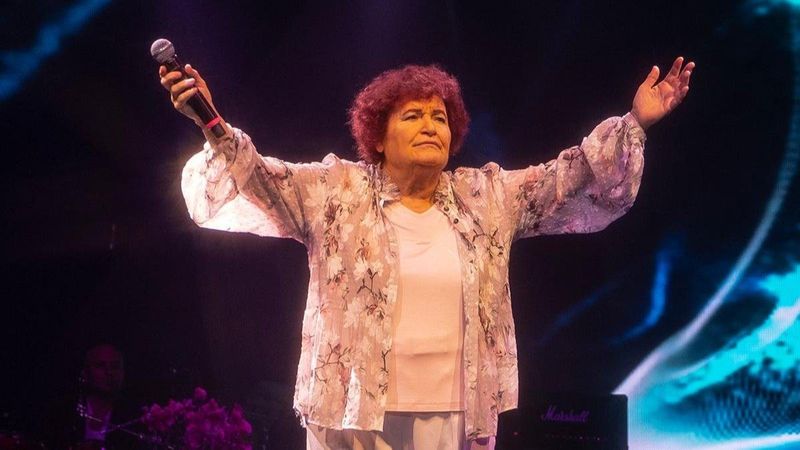 Selda Bağcan, hükümetin projelerini eleştirdi