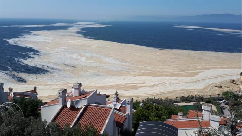 Çevre mühendislerinden müsilaj uyarısı: Haliç'i temizledik ama Marmara'yı temizleyemezsiniz