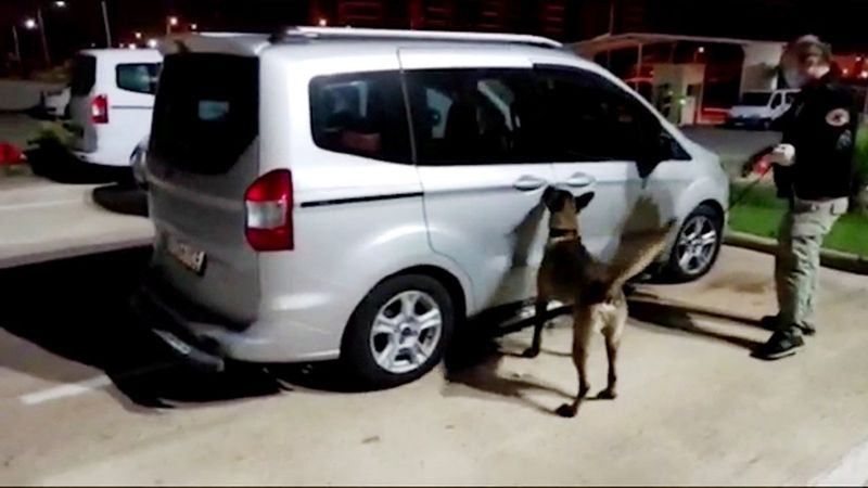 Antalya'daki kokain operasyonunda 1 kişi tutuklandı