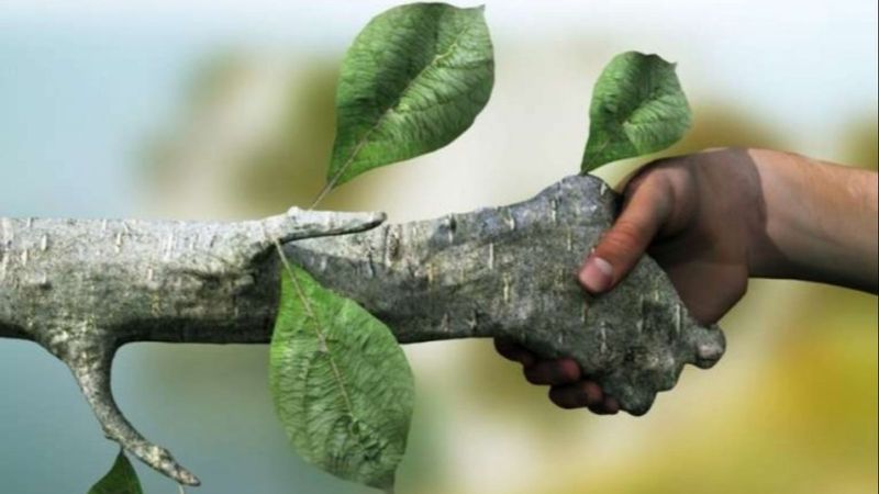 5 Haziran Dünya Çevre Günü: Çevrecilik ile ilgili sözler ve mesajlar 2021