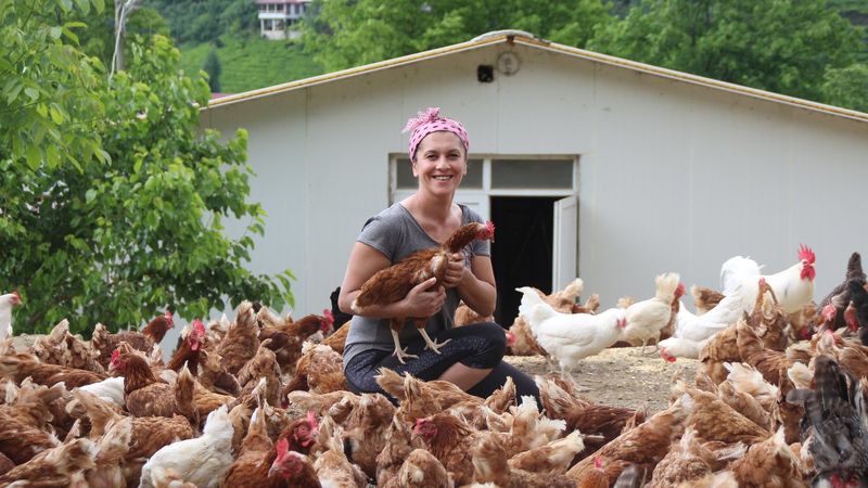 Rizeli girişimci kadın, köyüne dönüp tavuk çiftliği kurdu