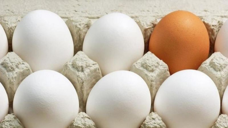 Hangisi daha faydalı: Beyaz ve kahverengi yumurta arasındaki farklar