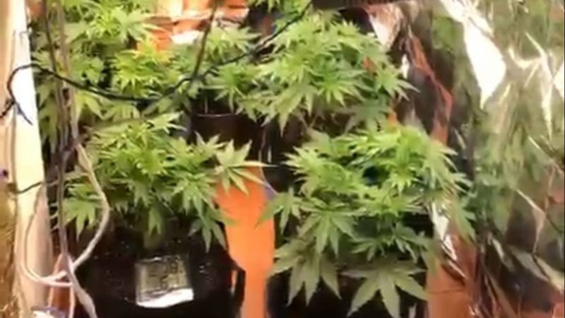 Bahçelievler'de uyuşturucu imalatı yapan 1 kişi yakalandı