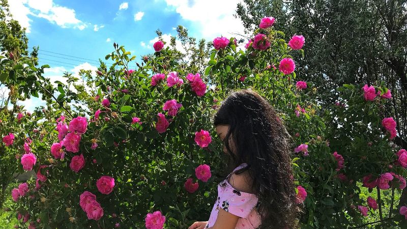 Ağrı'da rengarenk çiçekler göz kamaştırdı