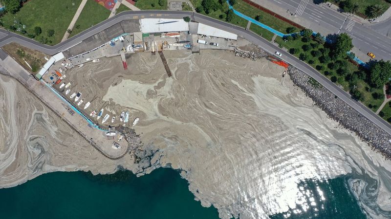 Çevre ve Şehircilik Bakanlığı'ndan 'müsilaj' genelgesi