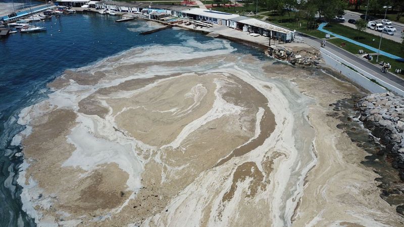 Müsilaj hangi denizlerde, nerelerde var? Deniz salyası görülen bölgeler...