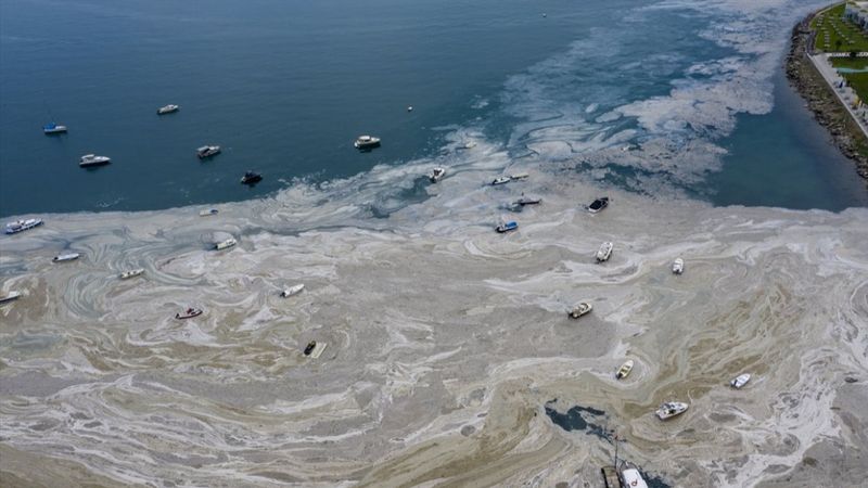 Müsilaj seferberliği başladı