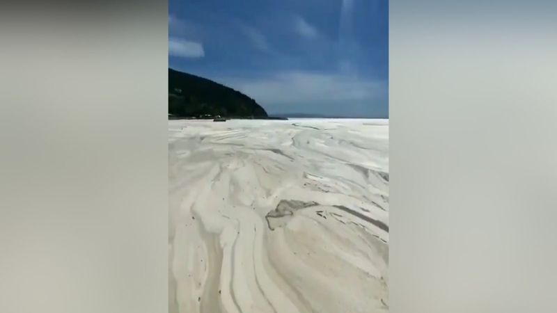 Balıkesir'e bağlı Erdek sahilli tamamen müsilaj ile kaplandı