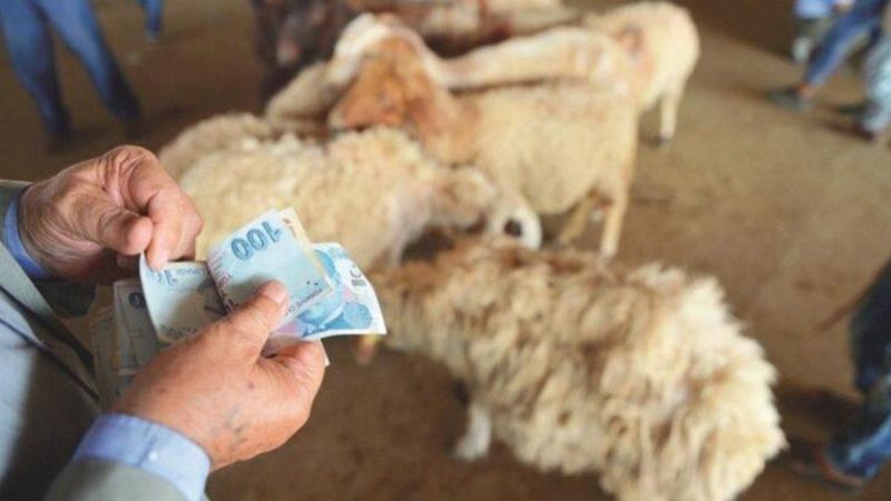 Vekaleten kurban nedir, nasıl kesilir? Vekaletle kurban kesmek caiz midir?