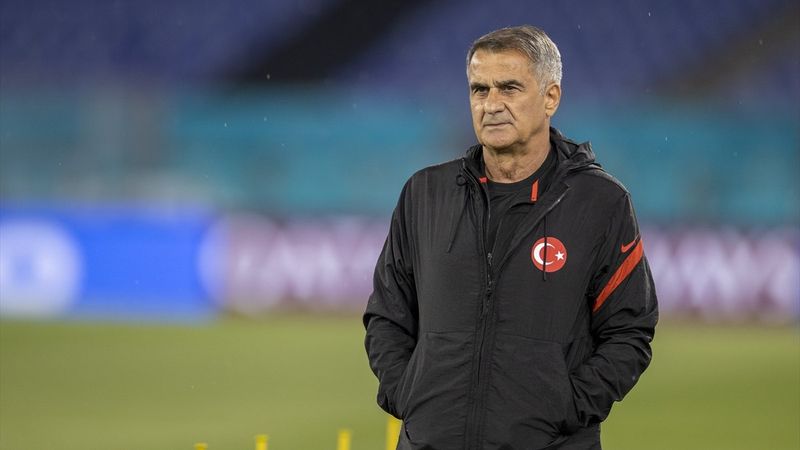 Şenol Güneş: Kazanmak için geldik