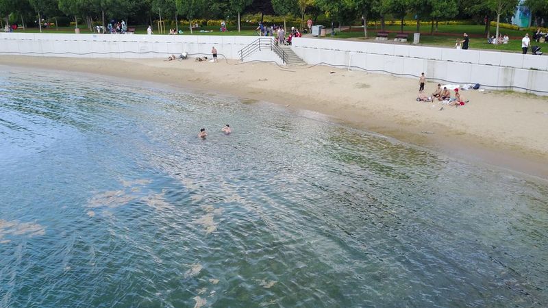 Caddebostan'da deniz salyalarına aldırmadan yüzdüler