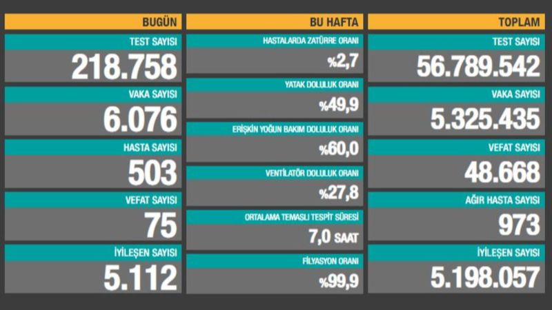 12 Haziran Türkiye'de koronavirüs tablosu