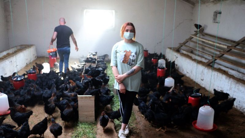Yozgat’ta üniversiteyi bırakıp, tavuk çiftliği kurdu