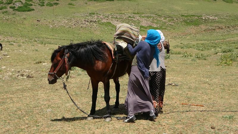Muş'ta berivanların ömrü at sırtında geçiyor