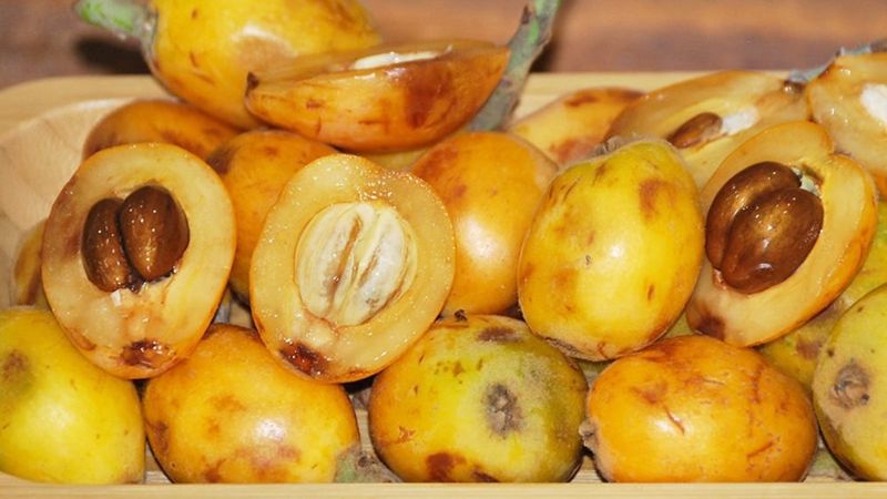 Yeni dünya meyvesi: Malta eriğinin faydaları nelerdir