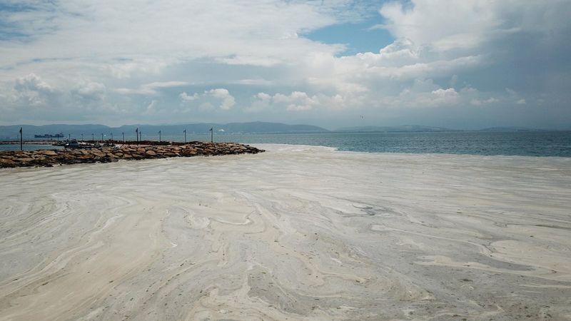 Kocaeli'de Darıca kıyılarını müsilaj kapladı