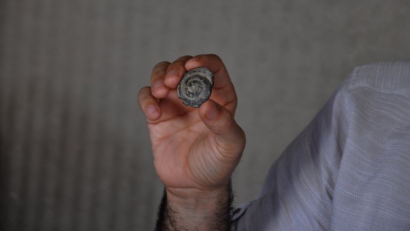 Gaziantep'te 57 milyon yıllık fosil bulundu