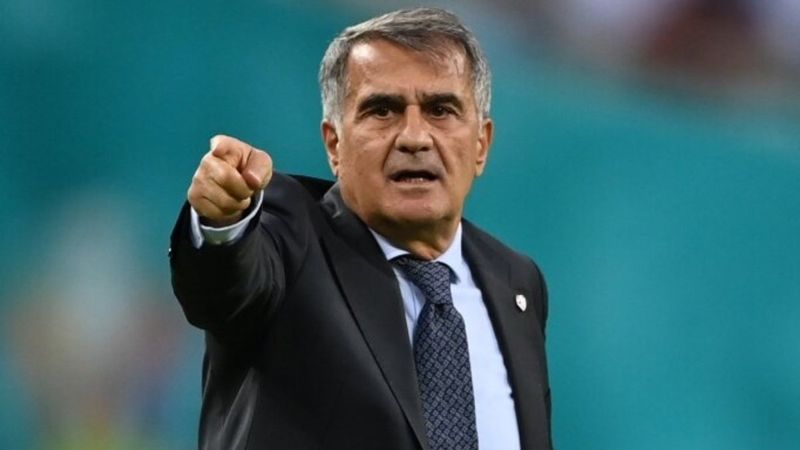 Şenol Güneş: Türk milletinin beklentisine cevap veremedik