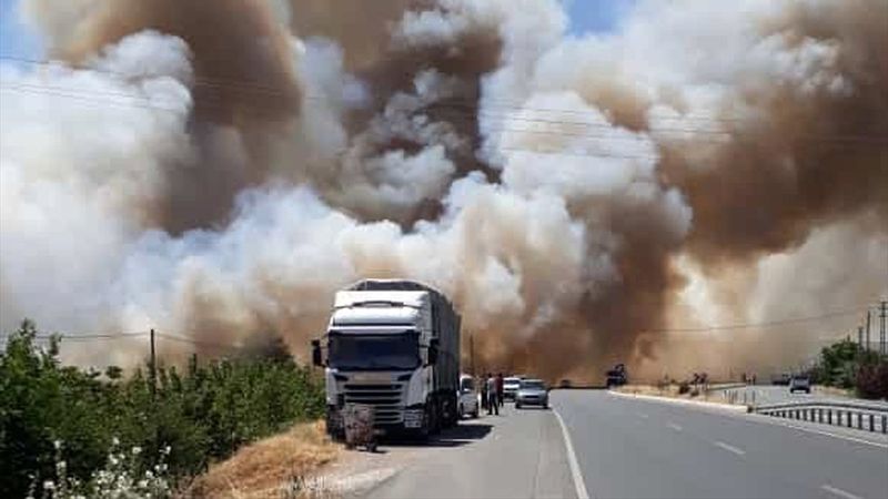 Elazığ'da 100 dönüm ekili alan yandı