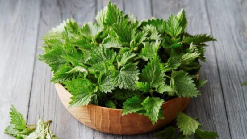 Yaşlanma karşıtı mineral: Selenyum açısından zengin 10 besin