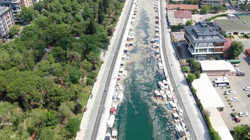 İstanbul'da Kurbağalıdere de müsilaj ile kaplandı