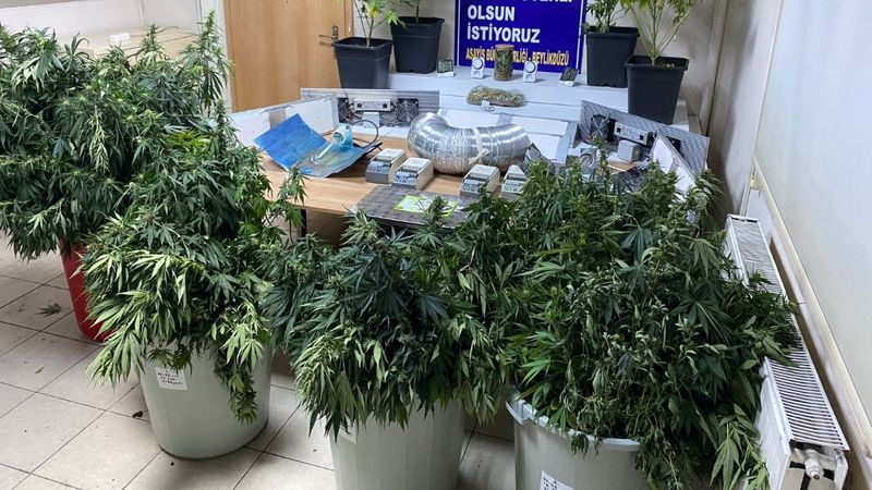 Beylikdüzü’nde deniz manzaralı villadan uyuşturucu serası çıktı