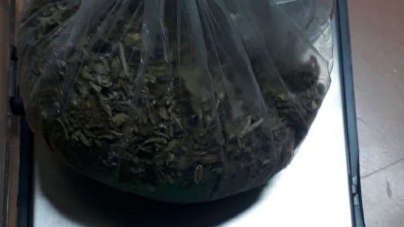 Çatalca'da 2 şahıs, uyuşturucu operasyonunda tutuklandı