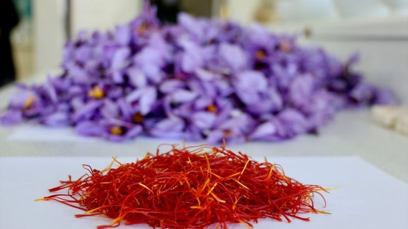 Safranın şaşırtıcı 8 faydası