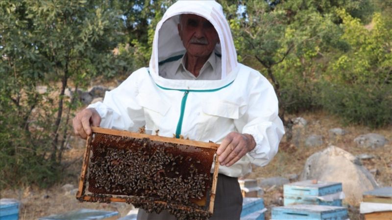 2 bin 973 rakımlı Mereto Dağı'nda 25 yıldır arıcılık yapıyor