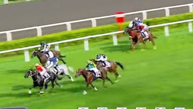 95. Gazi Koşusu'nu Burgas kazandı