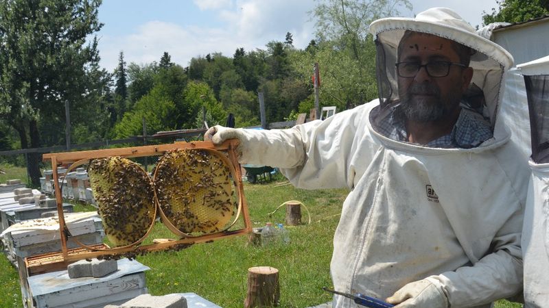 Kastamonu'da arı kovanlarını radyo sayesinde koruyor