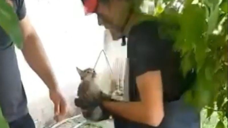 Elazığ'da kuyuya düşen yavru kedi kurtarıldı