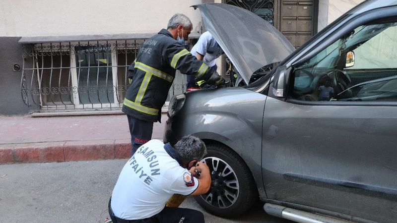 Samsun'da inatçı yılan otomobilden çıkmadı