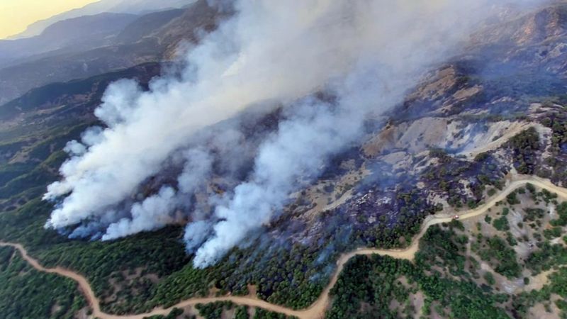 Bingöl'de 3 gündür süren orman yangınına müdahale devam ediyor