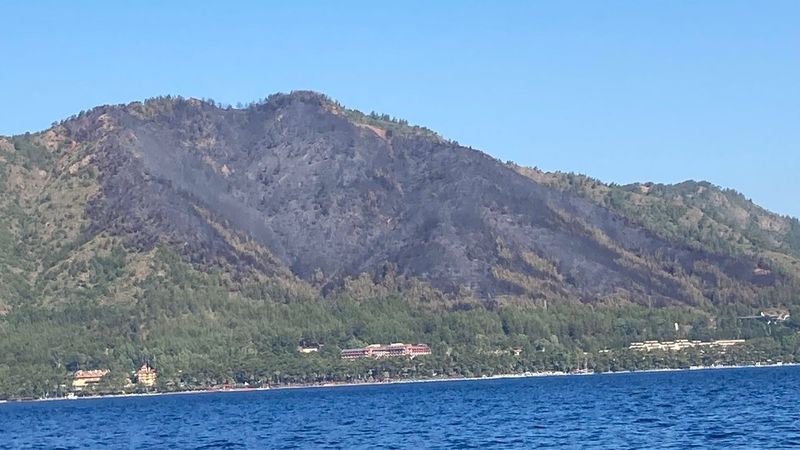 Marmaris'te yanan ormanlık alanın son hali
