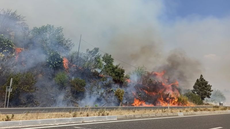 Muğla'da ormanlık alanda yangın