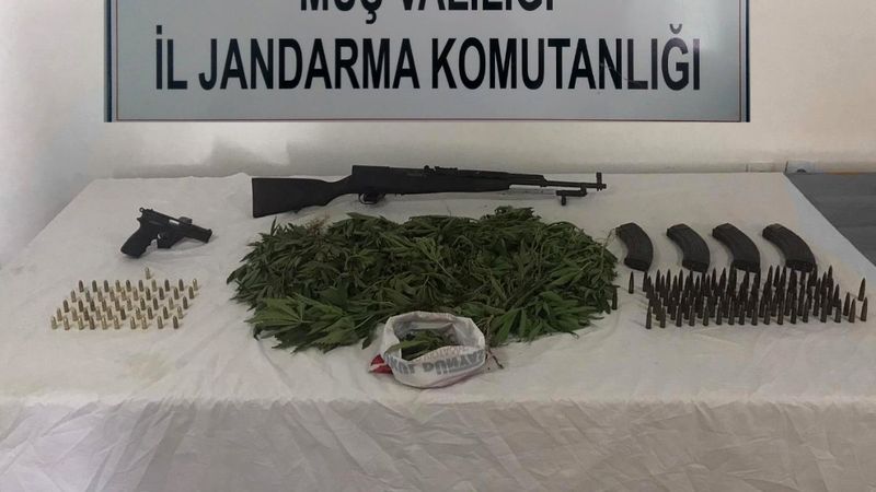 Muş’ta, yasa dışı kenevir ekimi ve mühimmat kaçakçılığı operasyonu