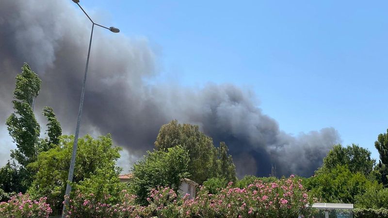 Muğla'da yangın çıkan fabrikaya 12 milyon lira ceza