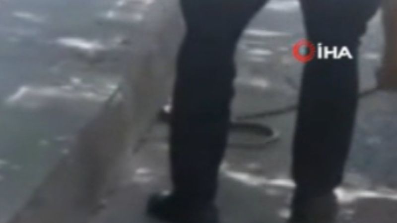 Ayazağa'da İETT otobüsünde yılan paniği