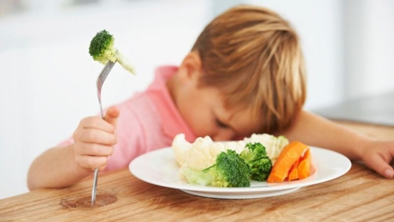 Çocuklarda sağlıklı beslenme için Harvard tabağı modeli