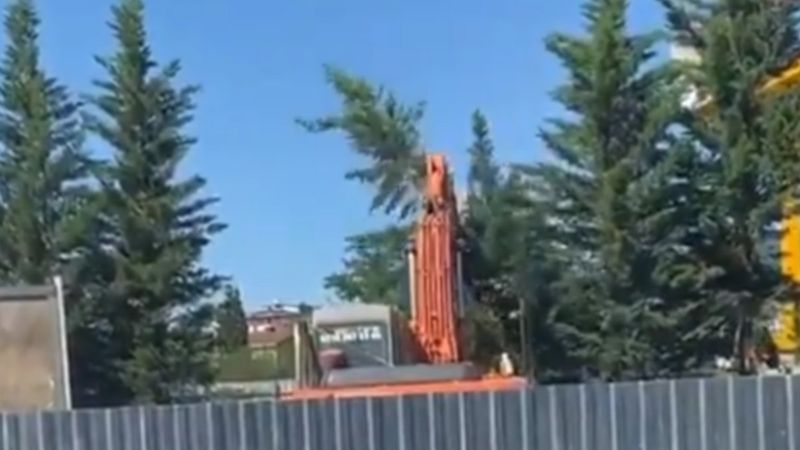 İBB'den Üsküdar-Sultanbeyli metro hattında ağaç katliamı