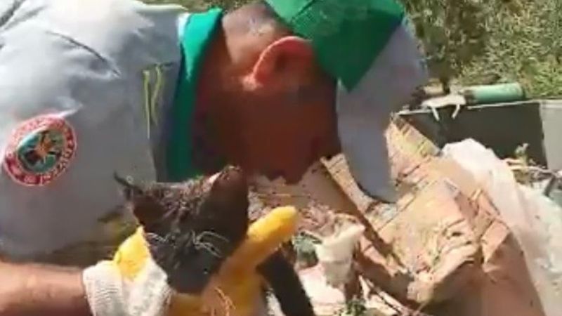 Manisa'da temizlik işçisi çöpe atılmış yavru kedi buldu